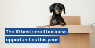 10 best small business opportunities this year